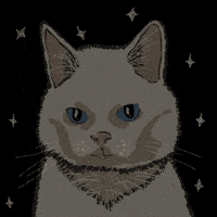 Cat Mood GIF