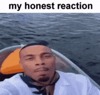 Reaction Meme GIF
