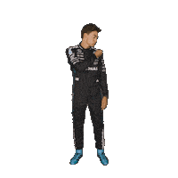 Formula One Sticker Sticker by Mercedes-AMG Petronas Formula One Team