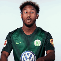 Football Soccer GIF by VfL Wolfsburg