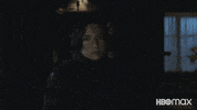 Crime Fighters Superhero GIF by HBO Max