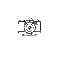 Photo Shooting Sticker by Pineapple MKT