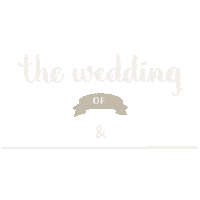 Happy Wedding Sticker