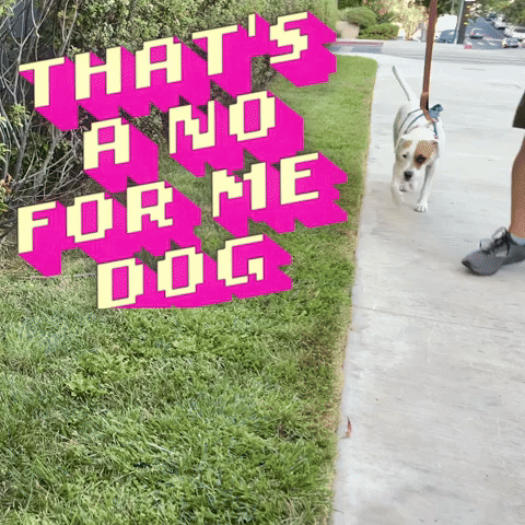 That's a no for me dog