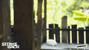 GIF by Cinemax