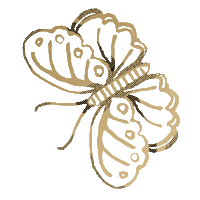 butterfly kimberleyrenwick Sticker