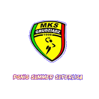 Recznaplazowa Sticker by PGNiG Summer Superliga