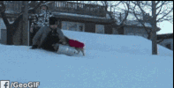 GIF by Demic