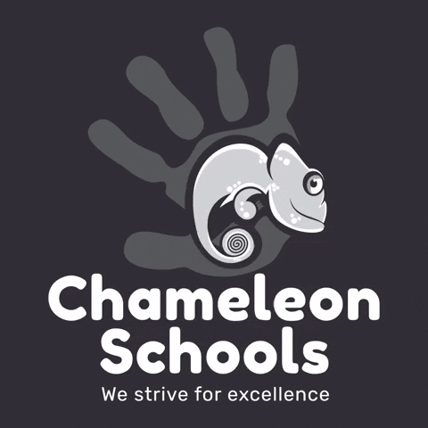 ChameleonSchools qualityeducation learningmadefun inclusiveeducation chameleonschools GIF
