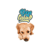 Dogs Keep Calm Sticker by Milagency
