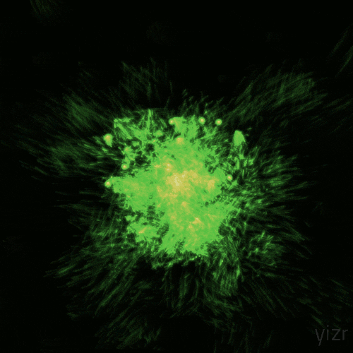 yizr art animation 3d trippy GIF