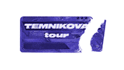 Vladik Temnikovatour Sticker by Elena Temnikova