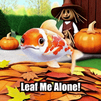 Fall Autumn GIF by TheConfishius