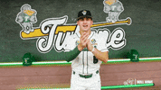 College Baseball Chase GIF by GreenWave