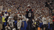 Stefon Diggs Football GIF by New England Patriots
