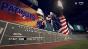 Football Nfl GIF by New England Patriots