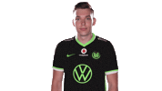 E Sports Sport Sticker by VfL Wolfsburg