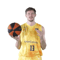 Liga Endesa Basketball Sticker by ACB