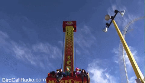 Theme Park What GIF