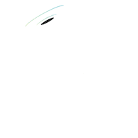 skating music festival Sticker by III Points