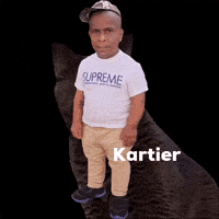 Kartier GIF