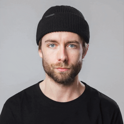 vertereberlin giphygifmaker GIF