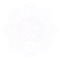 SingitaMiracleBeach new new post post nuovo post Sticker