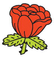 Flower Rose Sticker by Hagsville