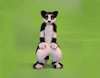 Furrie Dancing GIF by Minky Mom