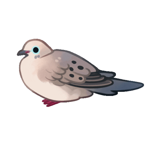Cookiedoves bird dove cute bird cookiedoves Sticker