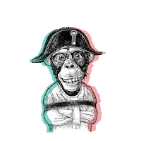 BruceClayMENA bruceclaymena bruceclay Sticker