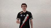Rocket League Facepalm GIF by G2 Esports