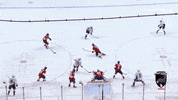 Cats Nhl GIF by Florida Panthers