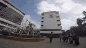 GIF by Demic