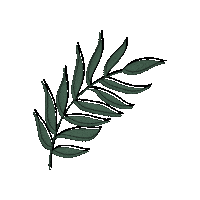 Leaf Sticker