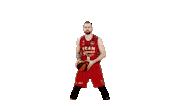 Liga Endesa Basketball Sticker by ACB