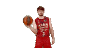 Liga Endesa Spinning Sticker by ACB