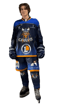 Celebration Goal Sticker by Hockey Club Châlonnais
