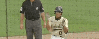 College World Series Baseball GIF by NCAA Championships