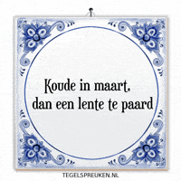 Nl Wijsheid GIF by Tegelspreuken.nl