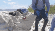 Earth Day GIF by 4ocean