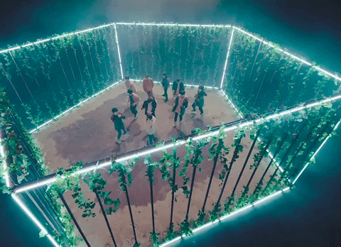K-Pop Gorilla GIF by PENTAGON