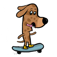 Skate Skateboard GIF