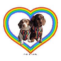 Rainbow Pride Sticker by Fibi & Karl