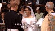 GIF by vrt