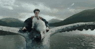 excited GIF