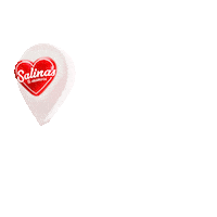 Salinasec Sticker by Alcaldía Salinas
