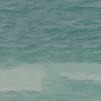 saying hi rise up GIF by Josh Rigling