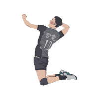 chengchengzz 排球 台電 台電男排 Sticker