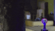 Film Night GIF by jorgemariozuleta